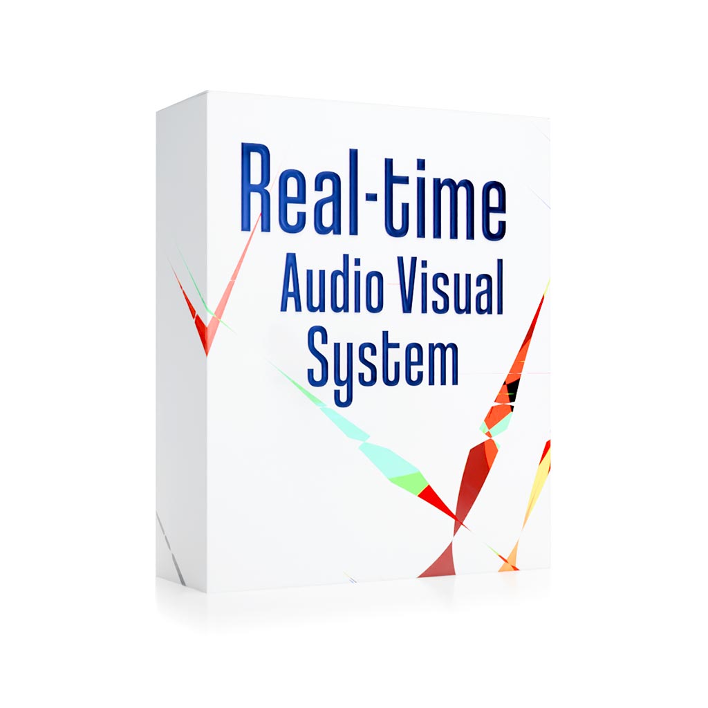 Real-time Visual System